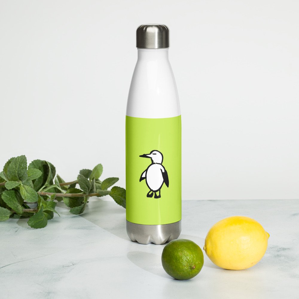 Stainless Steel Water Bottle - Light Green